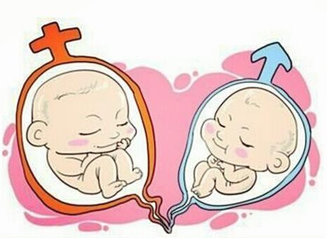 卵子凍結保存